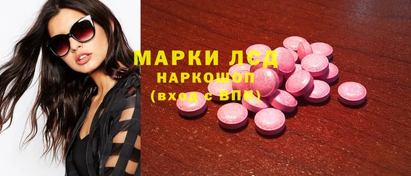 сатива Аркадак