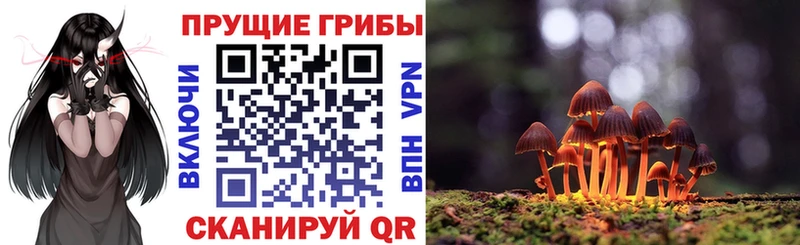 Галлюциногенные грибы Psilocybe дарнет шоп Уяр